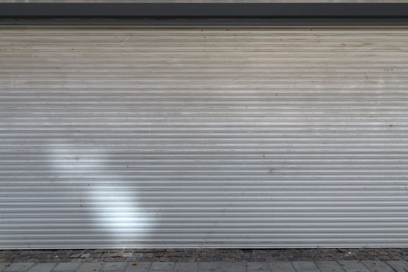 Modern Aluminum Garage Door